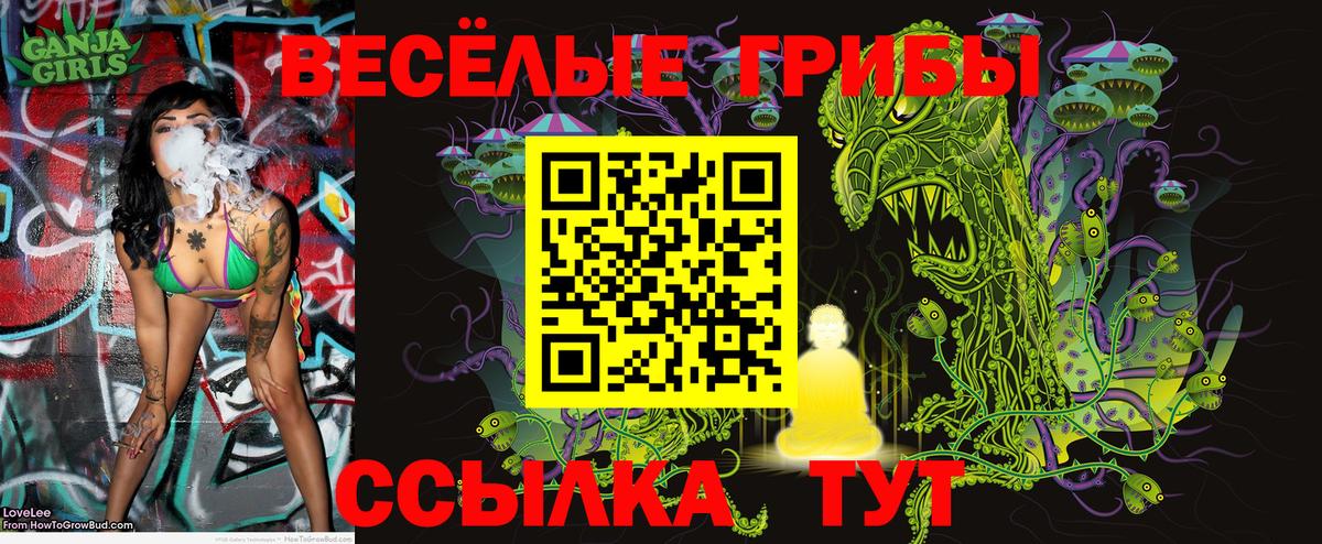 Мурманск  где можно купить   Галлюциногенные грибы прущие грибы  Вход с VPN  Псилоцибиновые грибы Magic Shrooms 